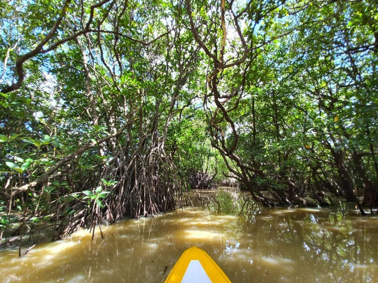 Senu Lagoon Villa Tangalle Exteriér fotografie